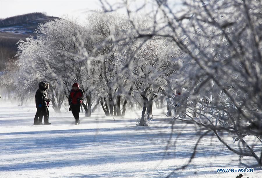 #CHINA-INNER MONGOLIA-FROST (CN)