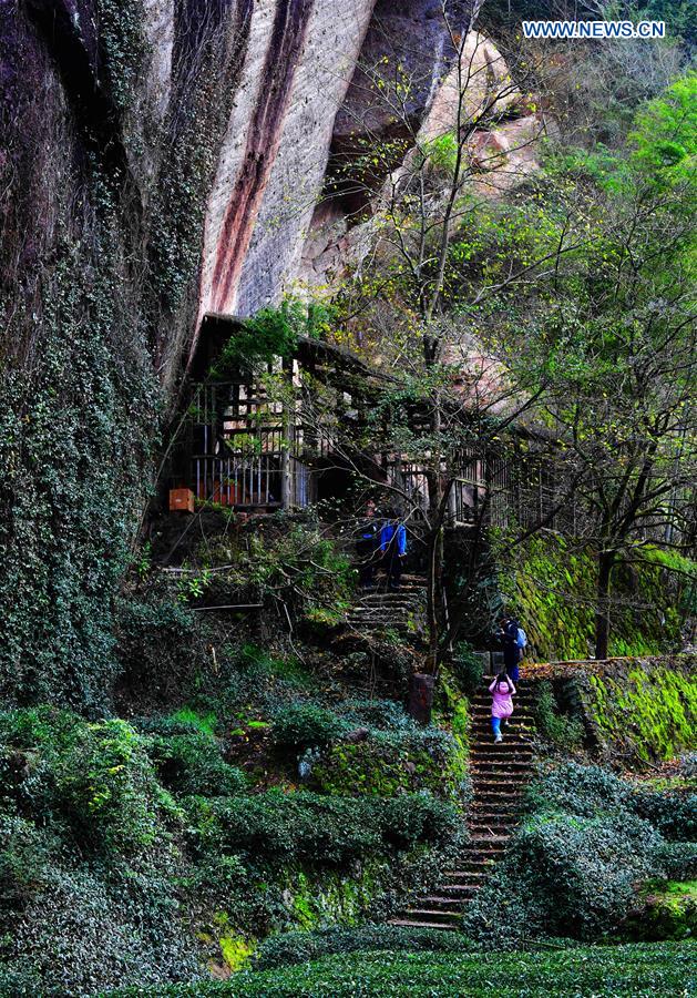 CHINA-FUJIAN-WUYI MOUNTAIN-SCENERY (CN)