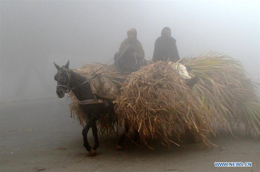 PAKISTAN-LAHORE-FOG