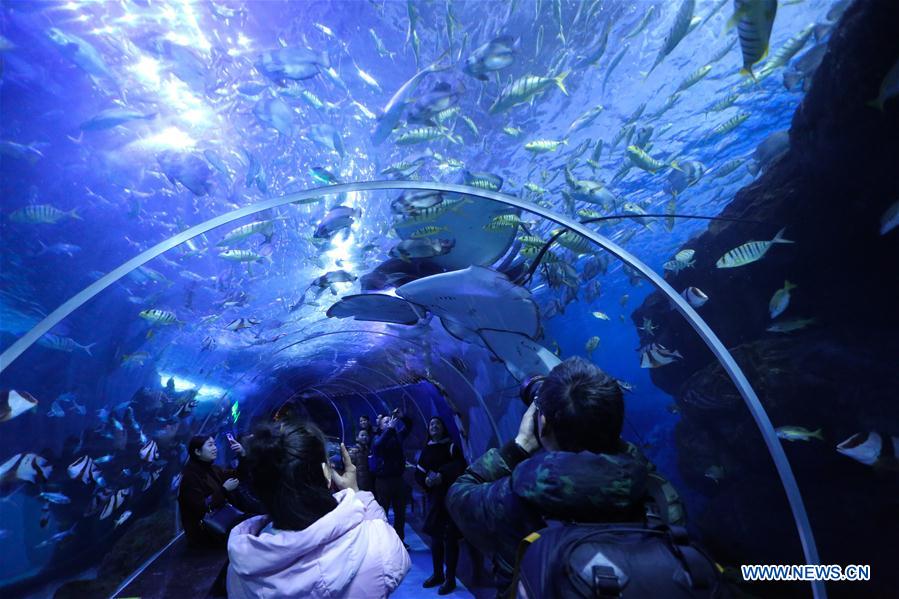 #CHINA-GUIZHOU-GUIYANG-OCEAN WORLD (CN)