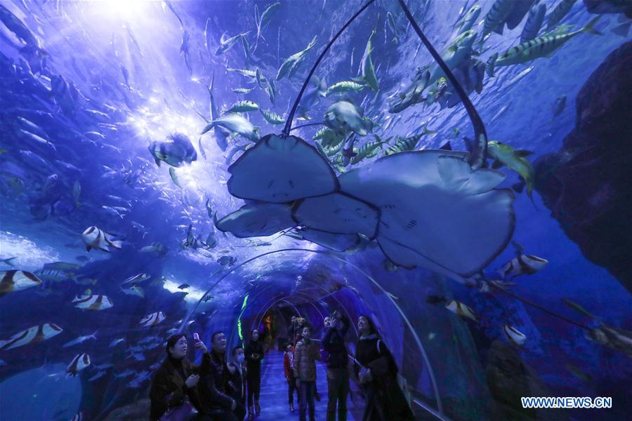 #CHINA-GUIZHOU-GUIYANG-OCEAN WORLD (CN)