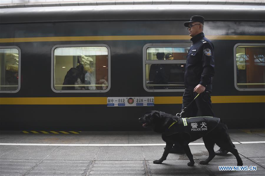 CHINA-CHONGQING-SPRING FESTIVAL-POLICE DOG (CN)