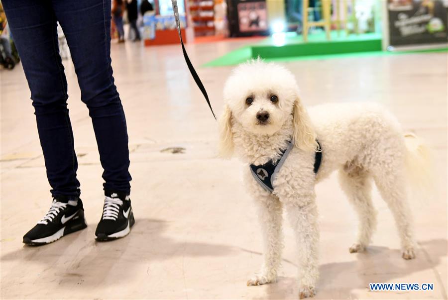 PORTUGAL-LISBON-PET SHOW