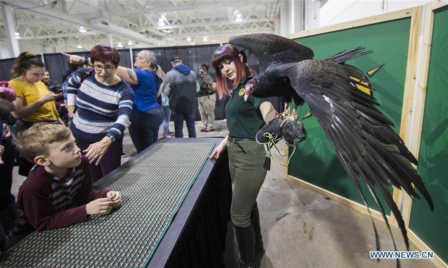 CANADA-TORONTO-WILDLIFE FESTIVAL