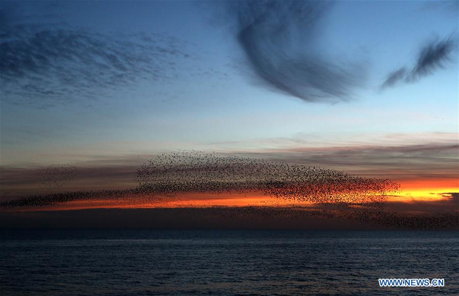 UK-LONDON-BRIGHTON STARLING