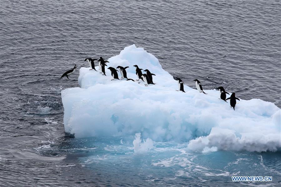 XINHUA PHOTOS OF THE DAY