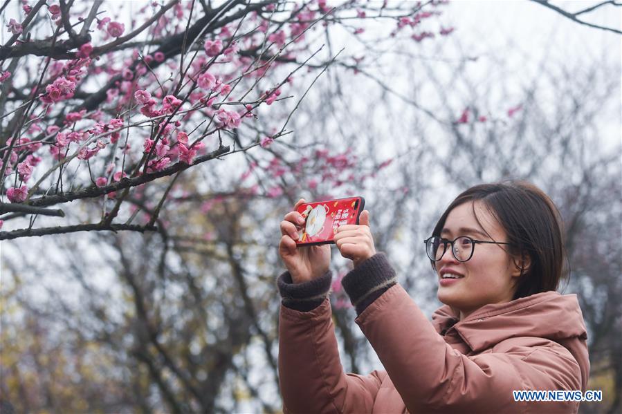 CHINA-ZHEJIANG-CHANGXING-PLUM BLOSSOM (CN)