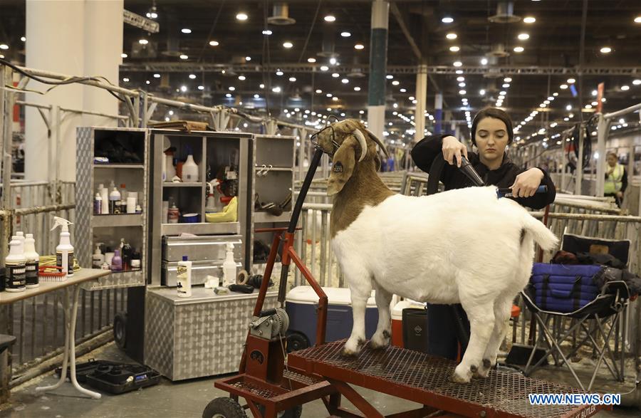 U.S.-HOUSTON-LIVESTOCK SHOW