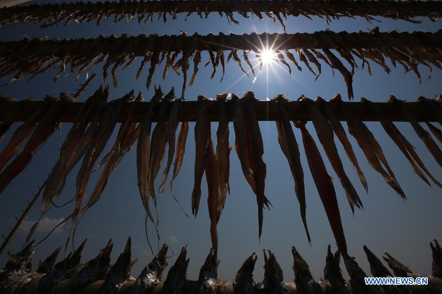 MYANMAR-THANBYUZAYAT-DRYING FISH