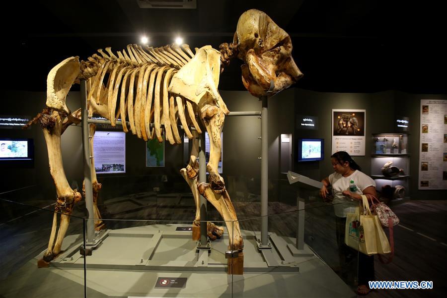 MYANMAR-YANGON-ELEPHANT MUSEUM OPENING