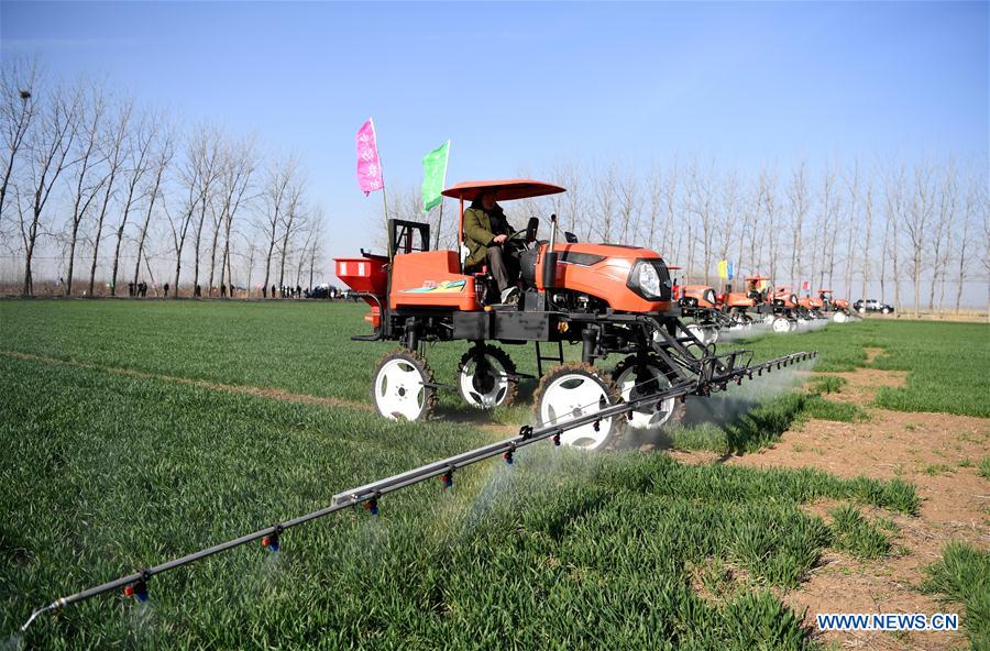 CHINA-ANHUI-SPRING-FARM WORK (CN)