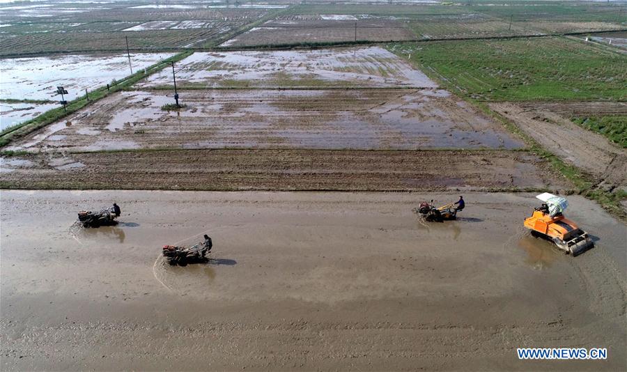 CHINA-NANCHANG-FARM WORK (CN)