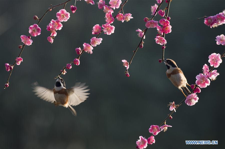 XINHUA PHOTOS OF THE DAY