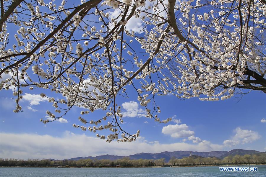 #CHINA-BEIJING-SUMMER PALACE-SCENERY (CN)