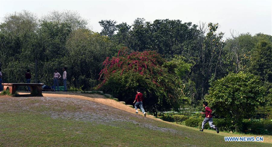 INDIA-NEW DELHI-SPRING-SCENERY