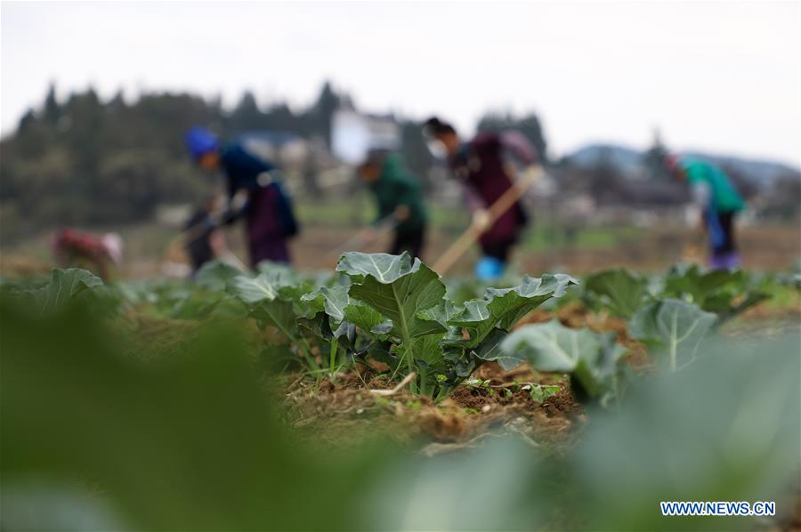 #CHINA-SPRING-FARMING (CN)