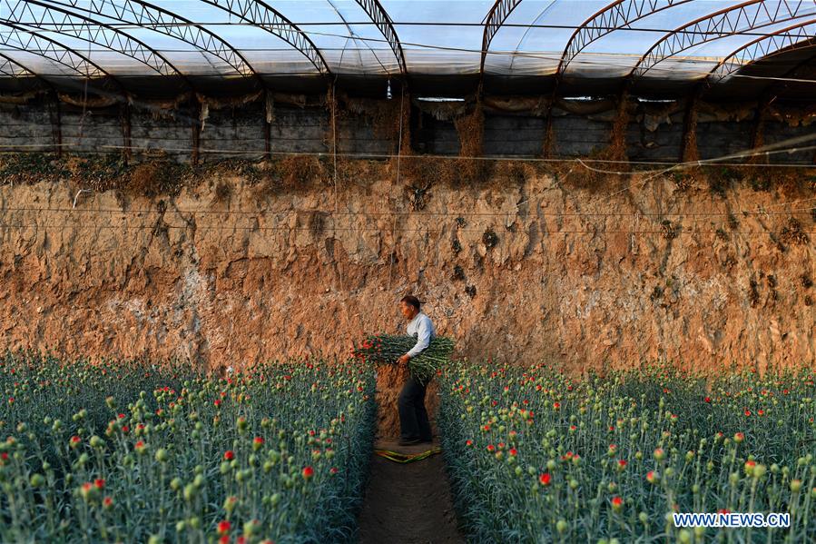 CHINA-SHANXI-HUGUAN-AGRICULTURE (CN)