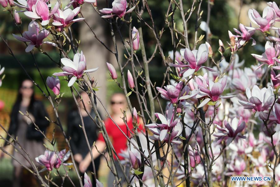 TURKEY-ISTANBUL-FLOWERS