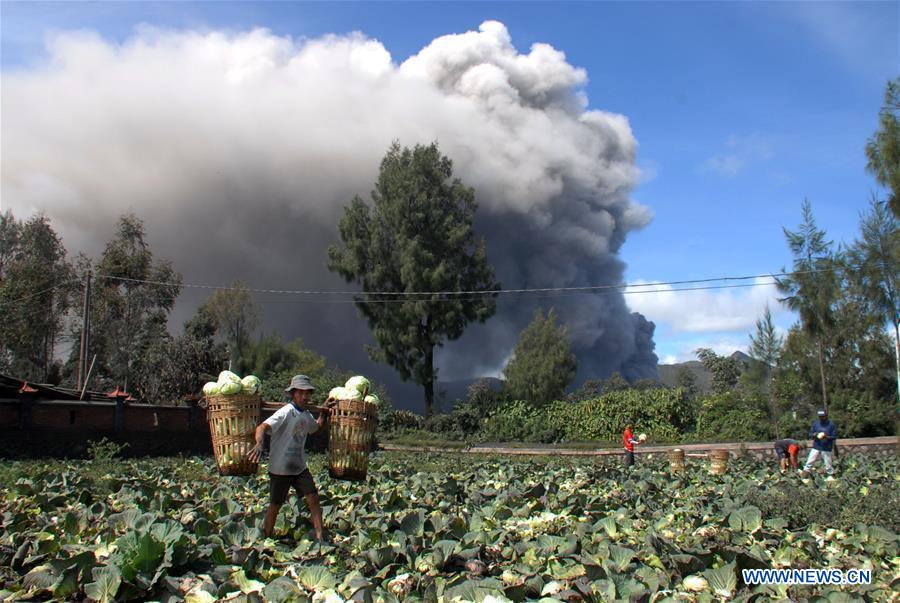 INDONESIA-MOUNT BROMO-ERUPTION