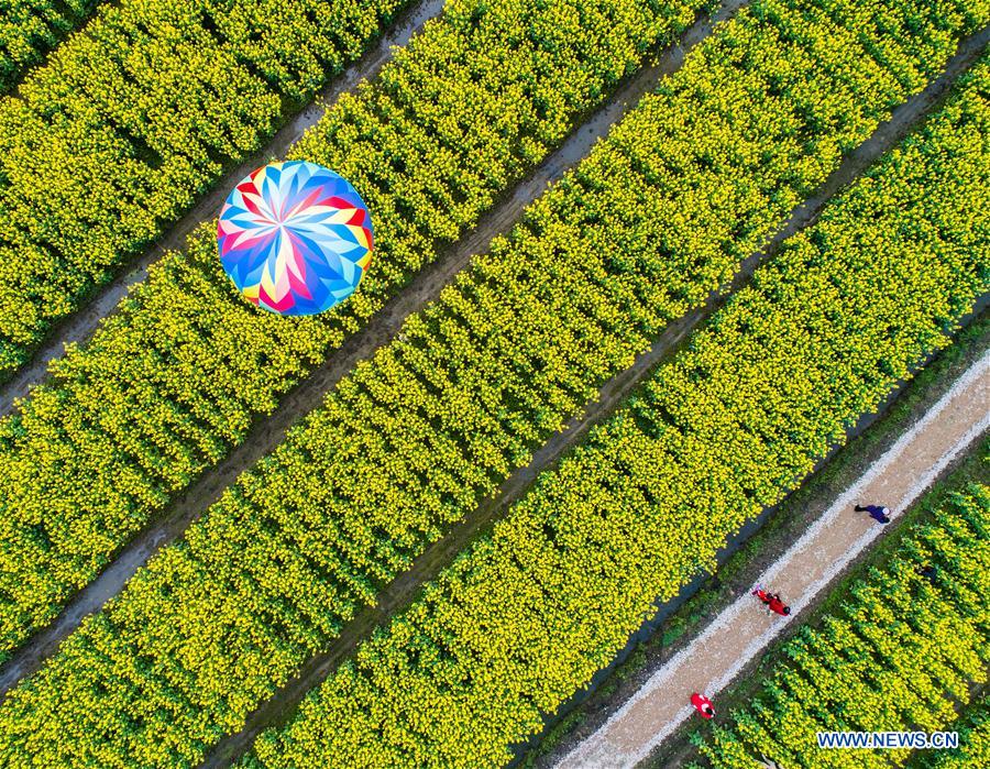 ZHEJIANG-HUZHOU-COLE FLOWER-TOURISM FESTIVAL (CN)