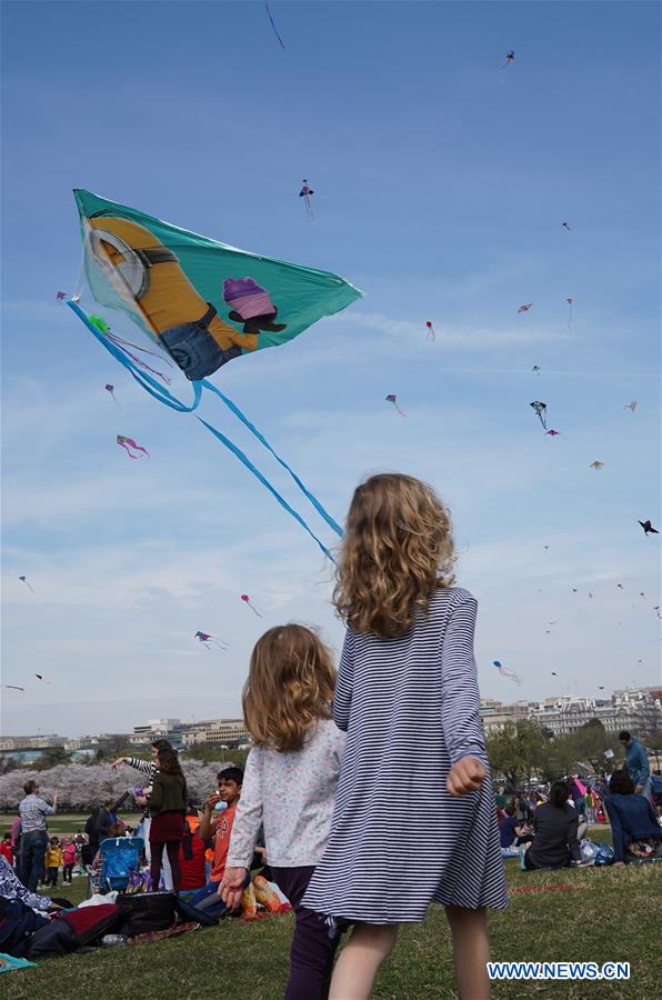 U.S.-WASHINGTON, D.C.-KITES