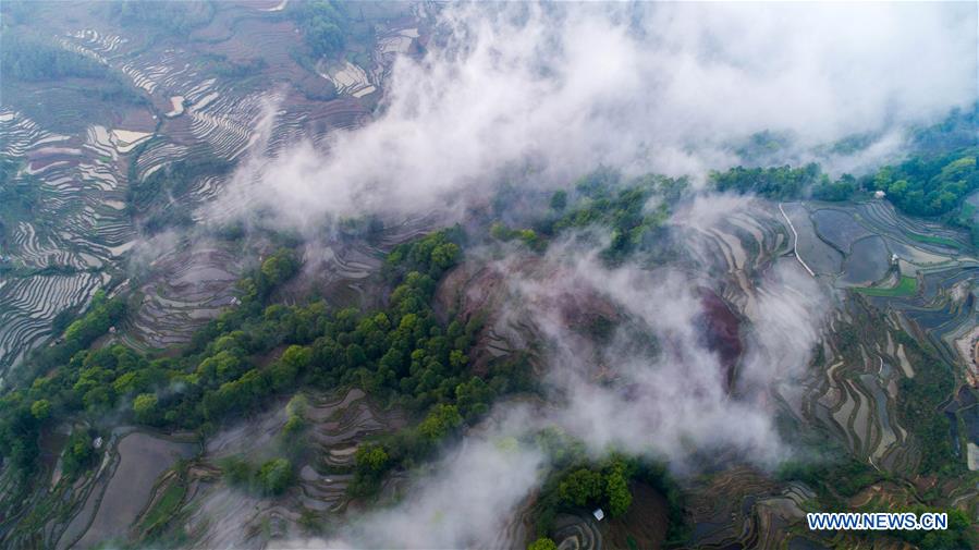 CHINA-YUNNAN-HANI TERRACED FIELDS-VIEWS (CN)