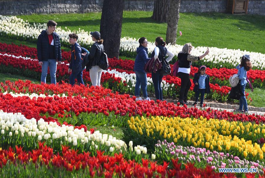 TURKEY-ISTANBUL-TULIPS