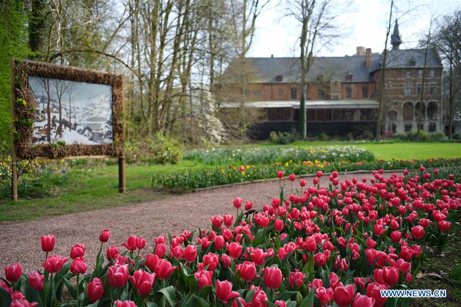 BELGIUM-BRUSSELS-FLOWER SHOW