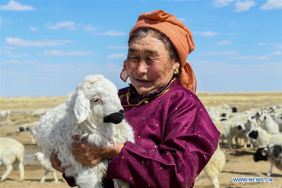 CHINA-INNER MONGOLIA-HULUN BUIR-LAMB (CN)