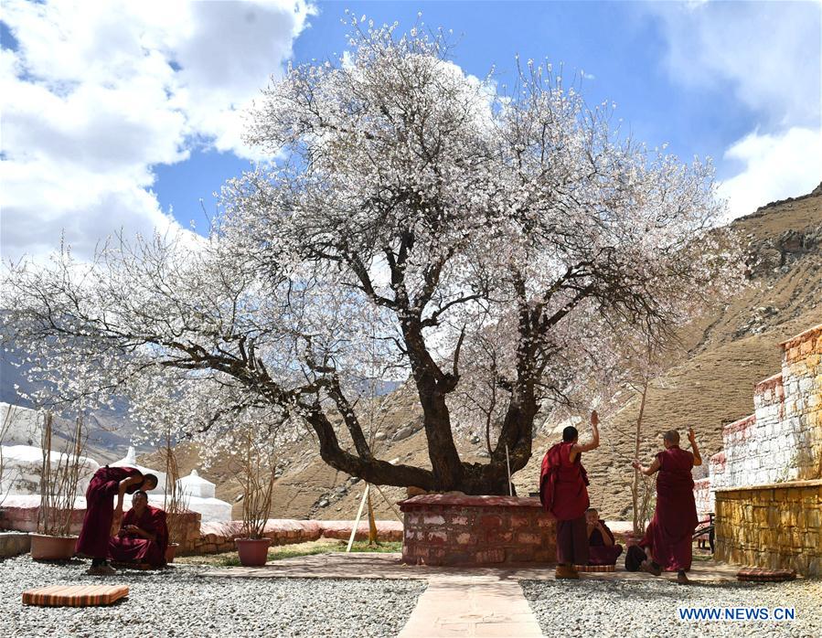 CHINA-TIBET-PABONKA HERMITAGE-SCENERY (CN)