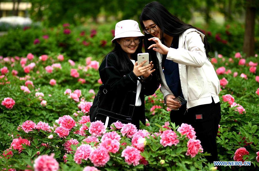 #CHINA-HEBEI-SPRING-FLOWERS(CN)