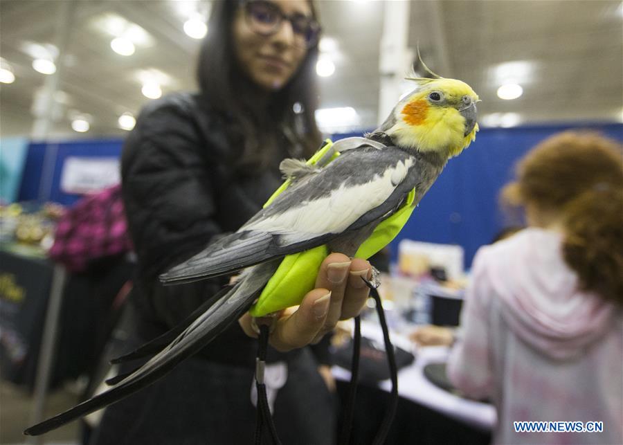 CANADA-TORONTO-PET EXPO