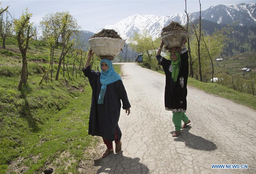 KASHMIR-SRINAGAR-DAILY LIFE