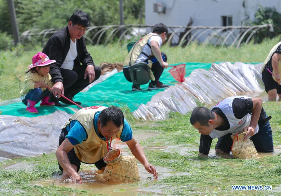 CHINA-ZHEJIANG-MAY DAY HOLIDAY-COUNTRYSIDE (CN)