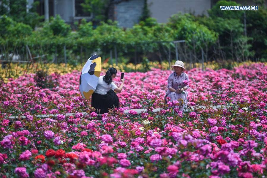 CHINA-ZHEJIANG-HANGZHOU-ROSE GARDEN (CN)