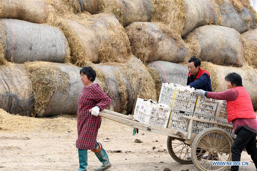 CHINA-ANHUI-HEFEI-POVERTY ALLEVIATION (CN)