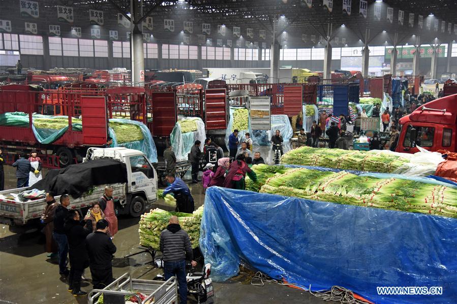 CHINA-SHANDONG-SHOUGUANG-VEGETABLE (CN)