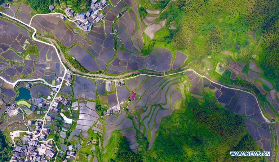 CHINA-GUANGXI-RONGSHUI-TERRACED FIELDS (CN)