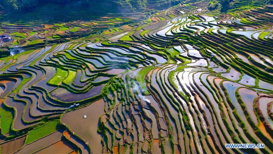 CHINA-GUANGXI-RONGSHUI-TERRACED FIELDS (CN)