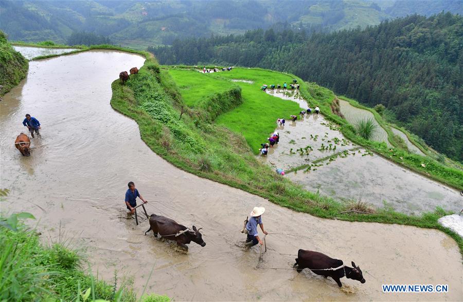 CHINA-GUANGXI-RONGSHUI-POVERTY ALLEVIATION (CN)