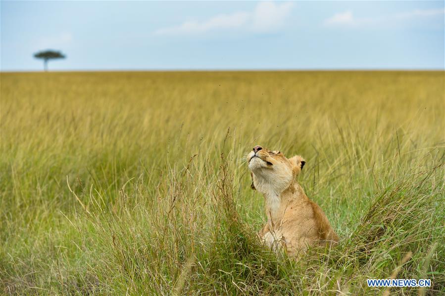 XINHUA PHOTOS OF THE DAY