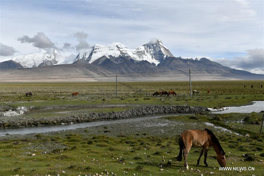 CHINA-TIBET-YADONG-SCENERY (CN)