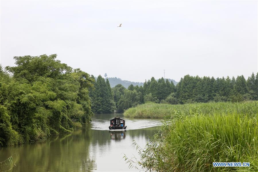 CHINA-ZHEJIANG-DEQING-WETLAND (CN)