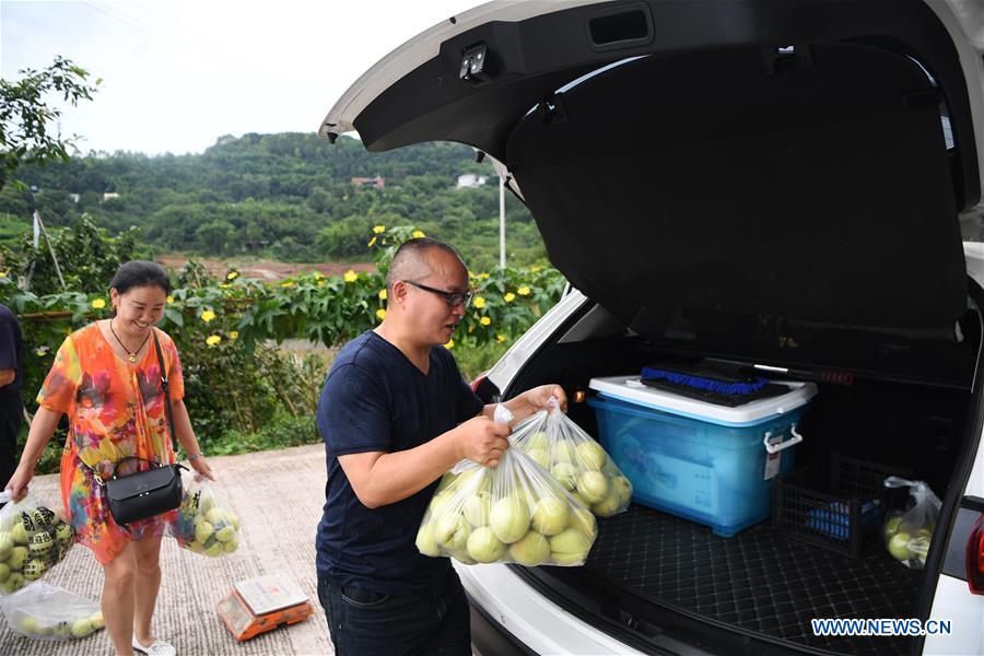 CHINA-CHONGQING-BANAN-PEACH-RURAL DEVELOPMENT (CN)