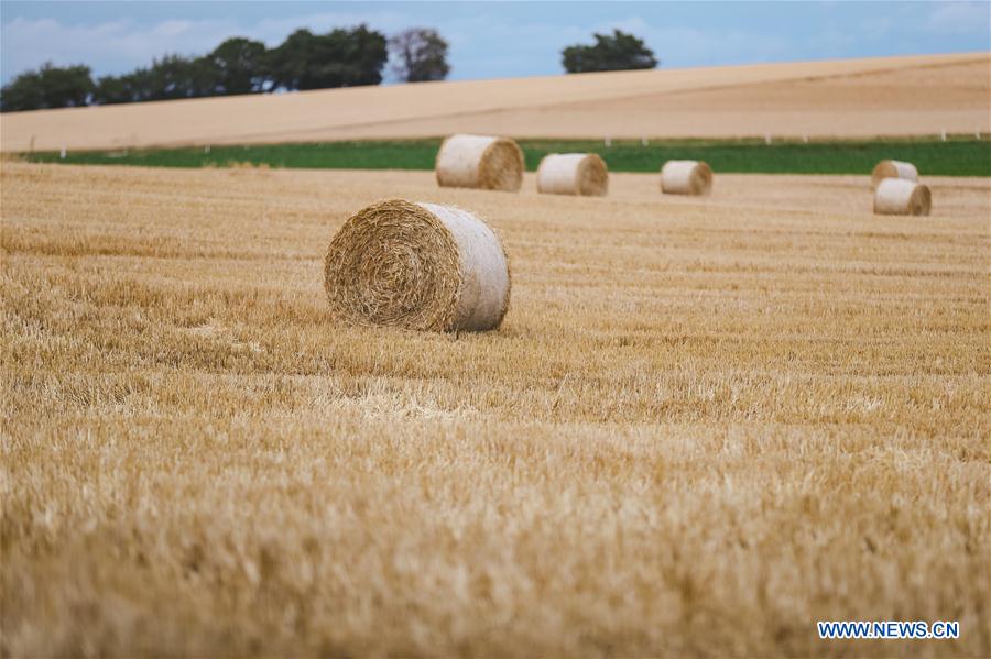 LUXEMBOURG-LENNINGEN-FIELD-SCENERY