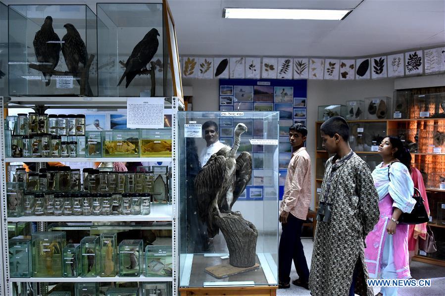 BANGLADESH-TANGAIL-TAXIDERMY-MUSEUM