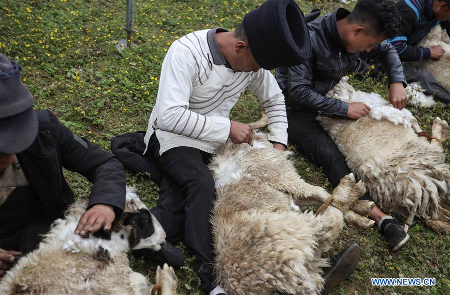 CHINA-SICHUAN-SHEEPSHEARING-FESTIVAL (CN)