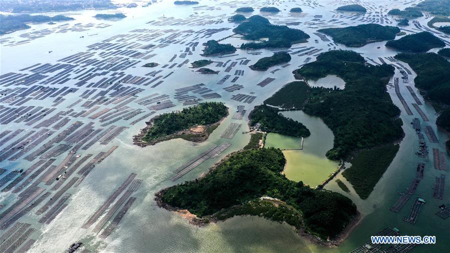 CHINA-GUANGXI-QINZHOU-OYSTERS-CULTIVATION (CN)