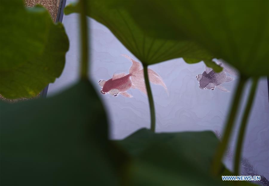 CHINA-BEIJING-PALACE MUSEUM-GOLDFISH-EXHIBITION (CN)