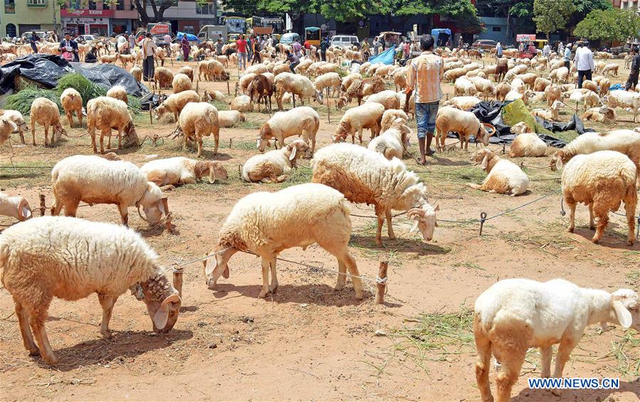 INDIA-BANGALORE-EID AL-ADHA FESTIVAL